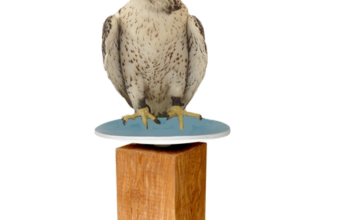 eagle superimposed on belatrova birdbath