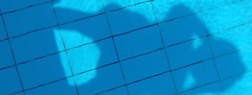 photo of shadow in pool